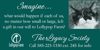 LEGACY_SOCIETY_HORIZ
