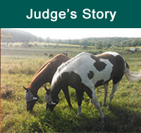 PONYUP_JUDGE_200X149