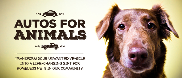 Autos for Animals