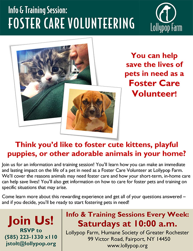 Foster care flyer info session general