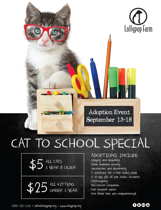 Cat to School Ad.indd