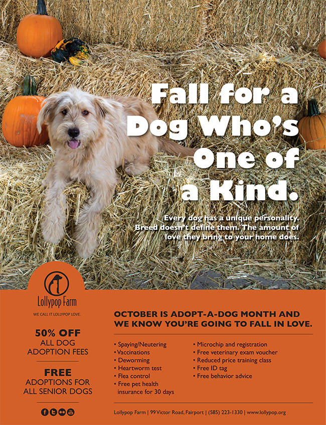 2016_Adopt-a-Dog_Flyer-4