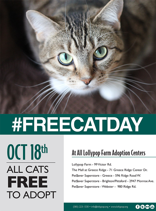 Free Cat Day