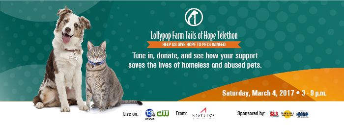 telethon-website-header