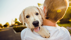 Pet Sitters in Training