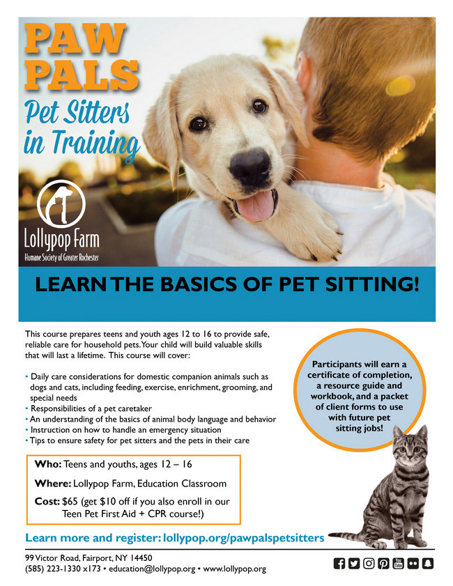 PetSitterCourse_Flyer_2018_New | Lollypop Farm PetSitterCourse_Flyer_2018_New | Lollypop Farm