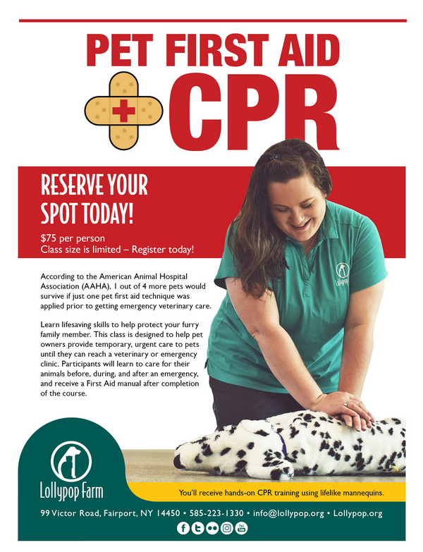 Pet First Aid + CPR @ Lollypop Farm Main Campus
