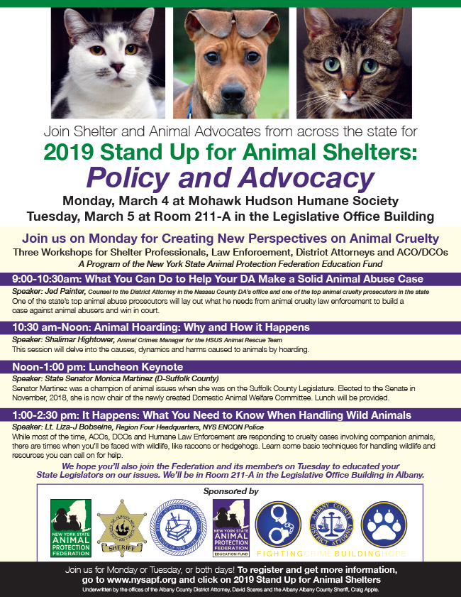 2019 Creating New Perspective in Animal Cruelty and Advocacy Days | Lollypop Farm 2019 Creating New Perspective in Animal Cruelty and Advocacy Days | Lollypop Farm