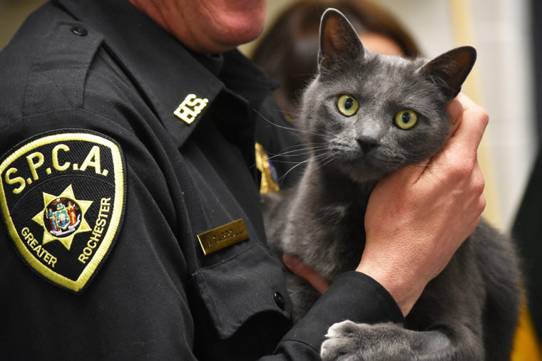 Humane law enforcement officer with cat 