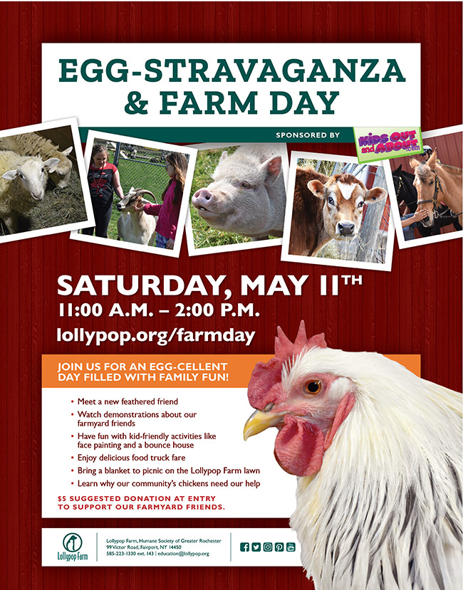 Egg Stravaganza Farm Day Lollypop Farm