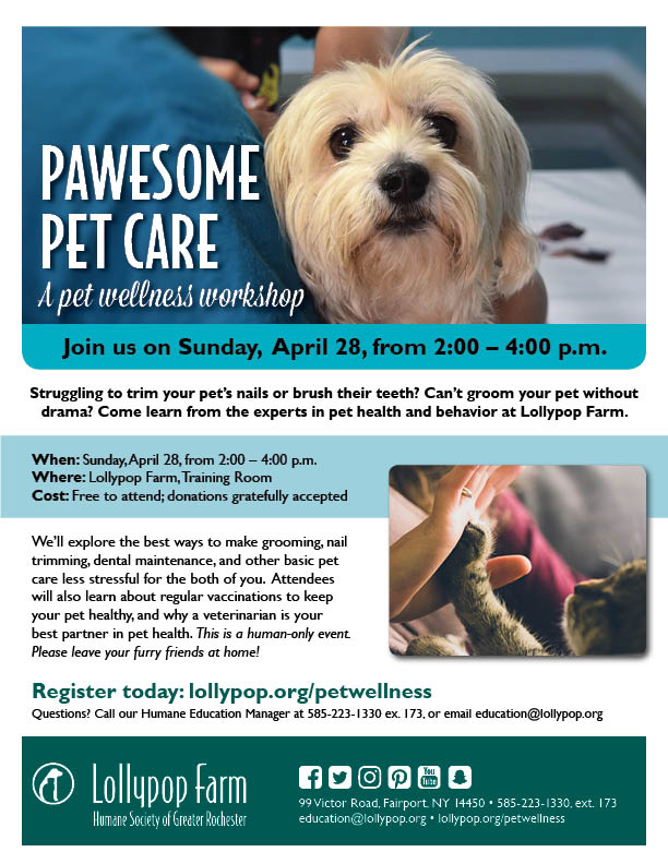 Pawsome Pet Care: Pet Wellness Workshop Flyer