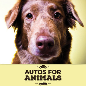 Autos for Animals