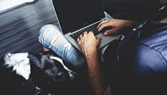 Man on laptop next to dog 