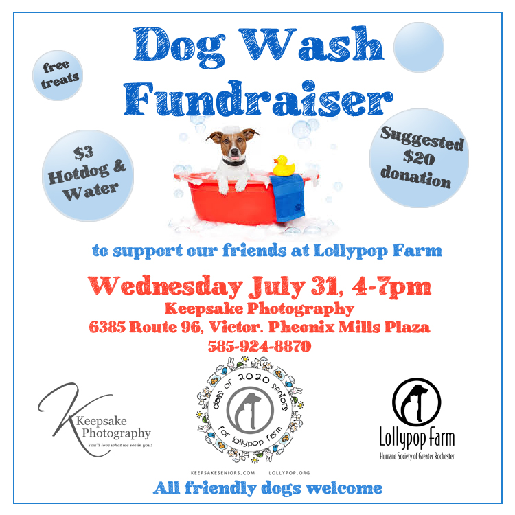 Dog Wash