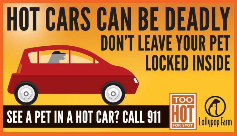Hot cars can be deadly! Don't leave your pet locked inside. See a pet in a hot car? Call 911. It's Too Hot for Spot! Lollypop Farm.