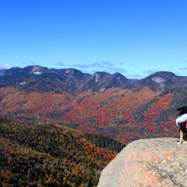 Dog and woman on mountain