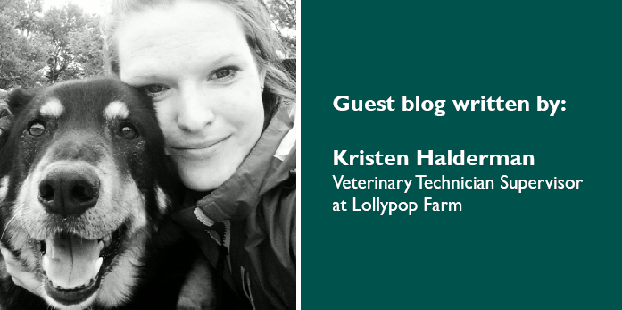 Guest blog by Kristen Halderman