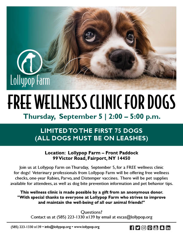 Free Wellness Clinic for Dogs