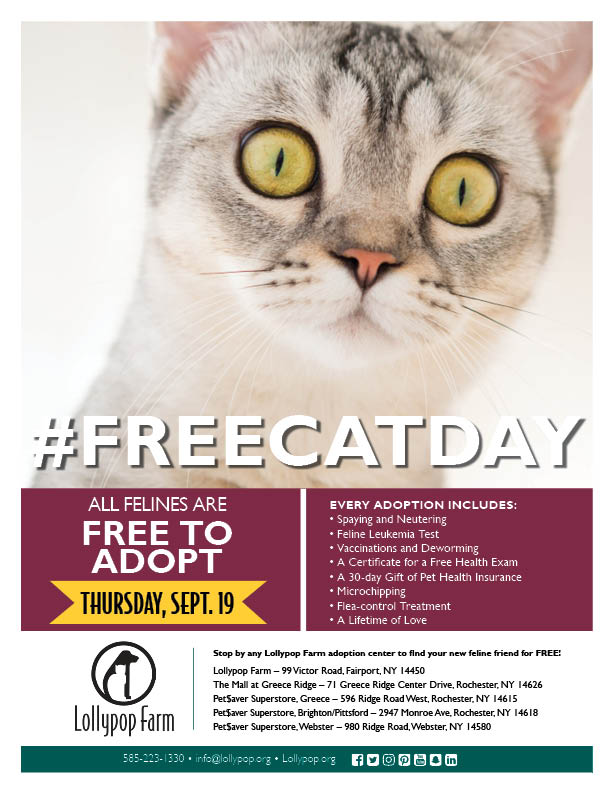 Free Cat Day