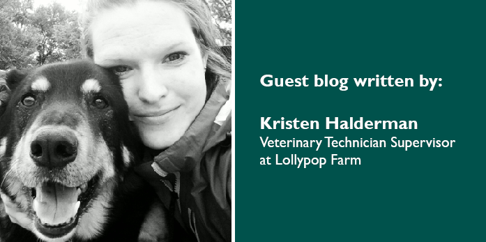 Guest blog written by Kristen Halderman