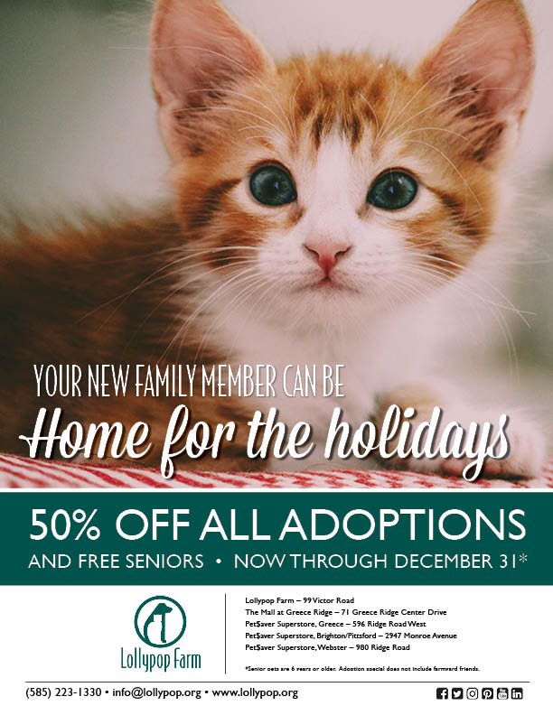Home for the Holidays