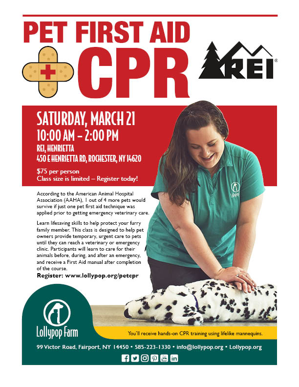 Pet First Aid and CPR
