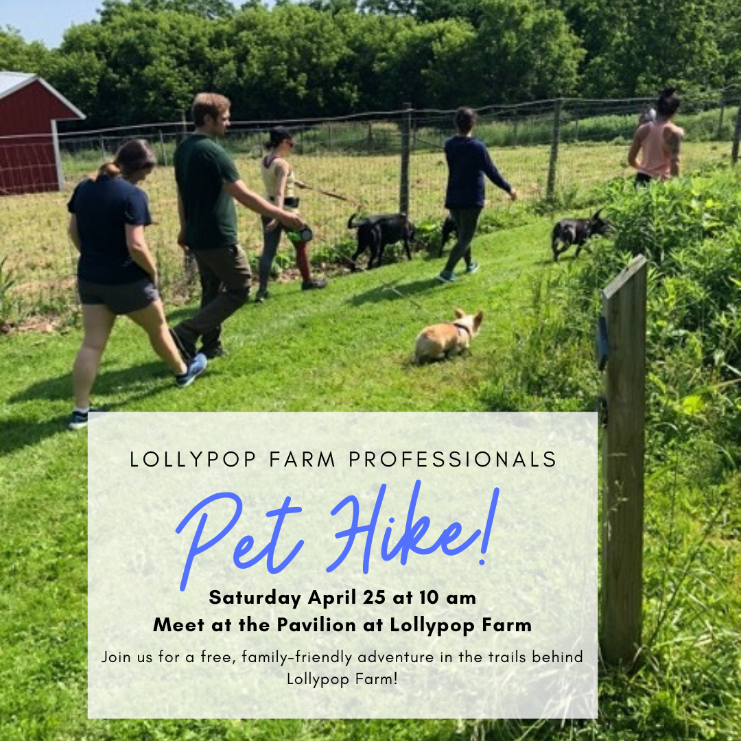 Lollypop Farm Professionals Pet Hike