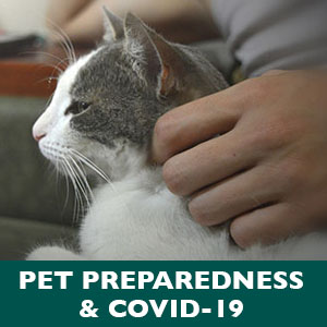 Pet Preparedness Covid 19