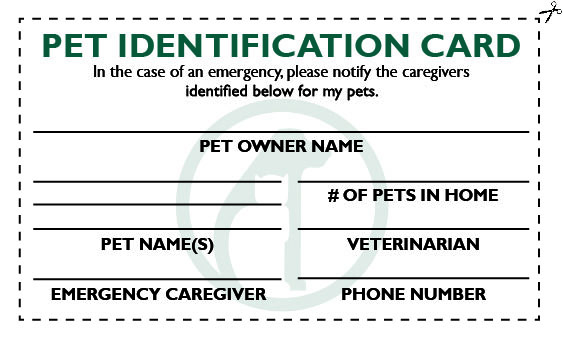pet emergency number