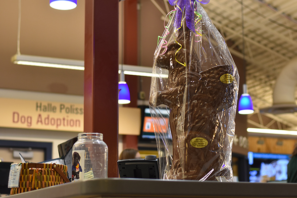 Stever's Chocolate Bunny