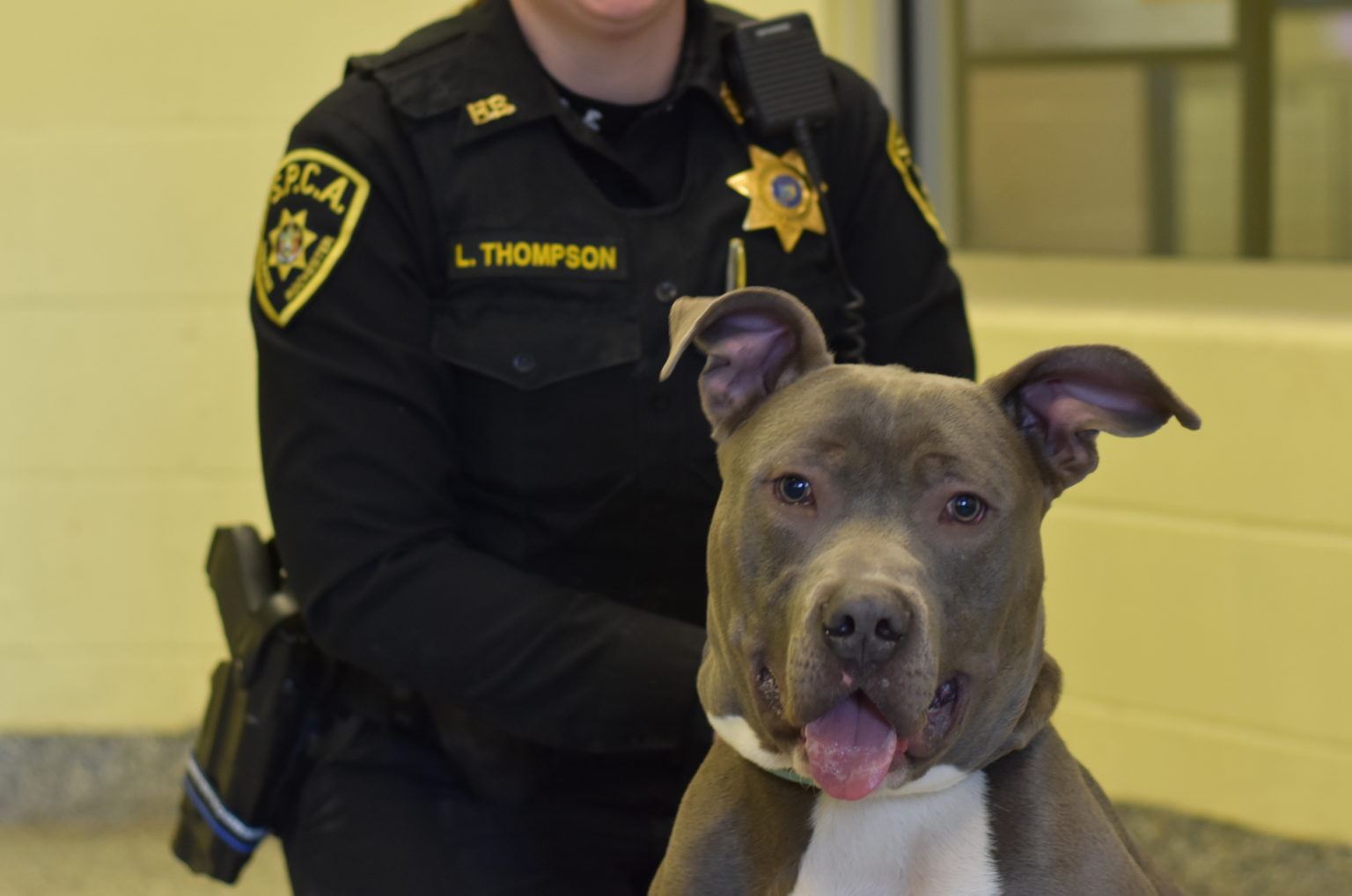 Humane Law Enforcement: Standing Against Animal Cruelty • Lollypop Farm
