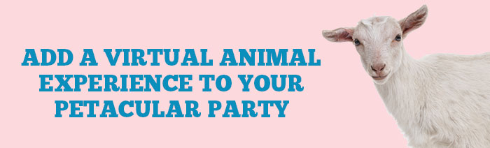 Virtual Animal Cameo