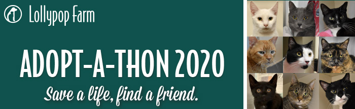 Adopt-A-Thon
