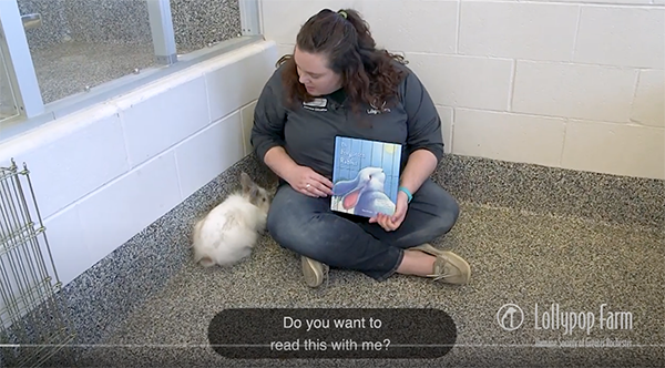 animal tales