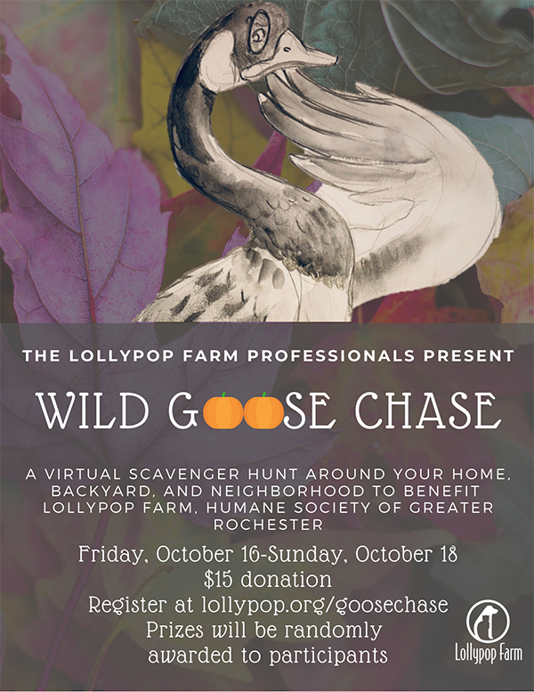 Wild Goose Chase