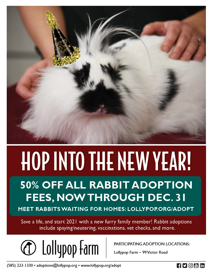 Hop into the New Year