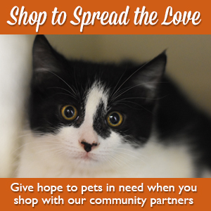Shop to Spread the Love