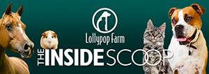 Inside Scoop