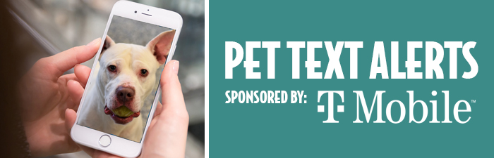 Pet Text Alerts sponsored by T-Mobile