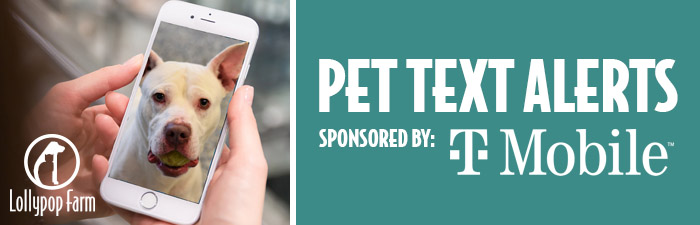 Pet Text Alerts sponsored by T-Mobile