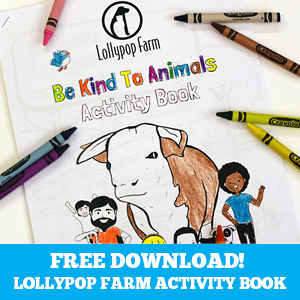 Be Kind to Animals Activity Book