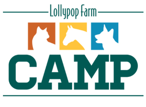 Summer Camp Logo