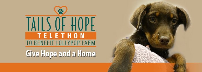 Give Hope and a Home