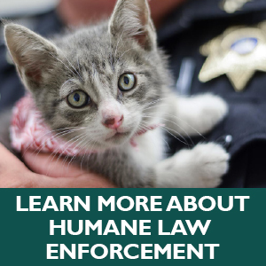 Learn More about Humane Law Enforcement