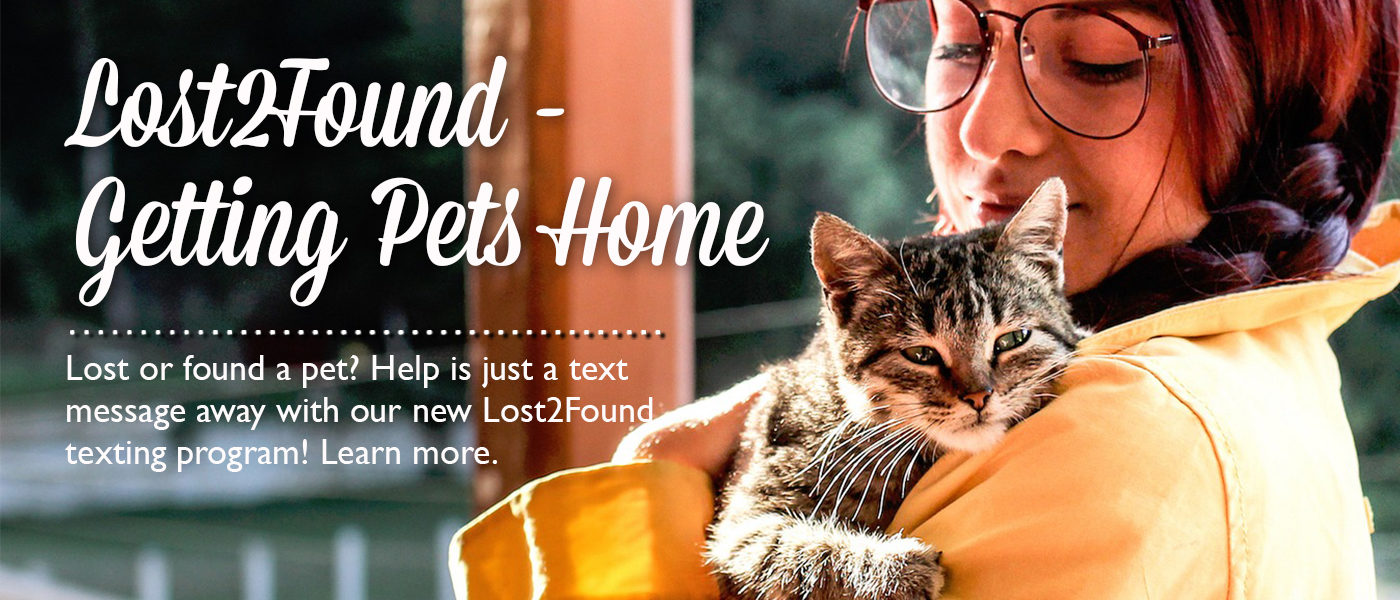 Cat Care Society Donations / Humane Society Of Yuma Animal Shelter Pet