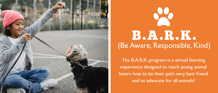 B.A.R.K. Be Aware, Responsible, Kind