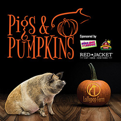 Pigs & Pumpkins Lollypop Farm Event