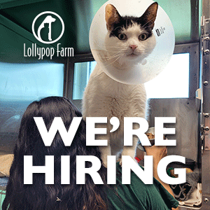 We're Hiring at Lollypop Farm