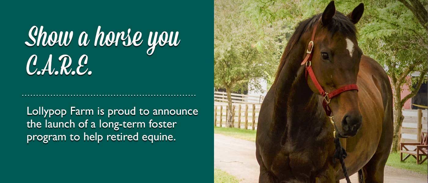 Foster a retired horse