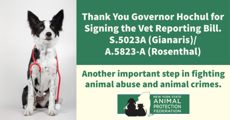 Vet Reporting Bill